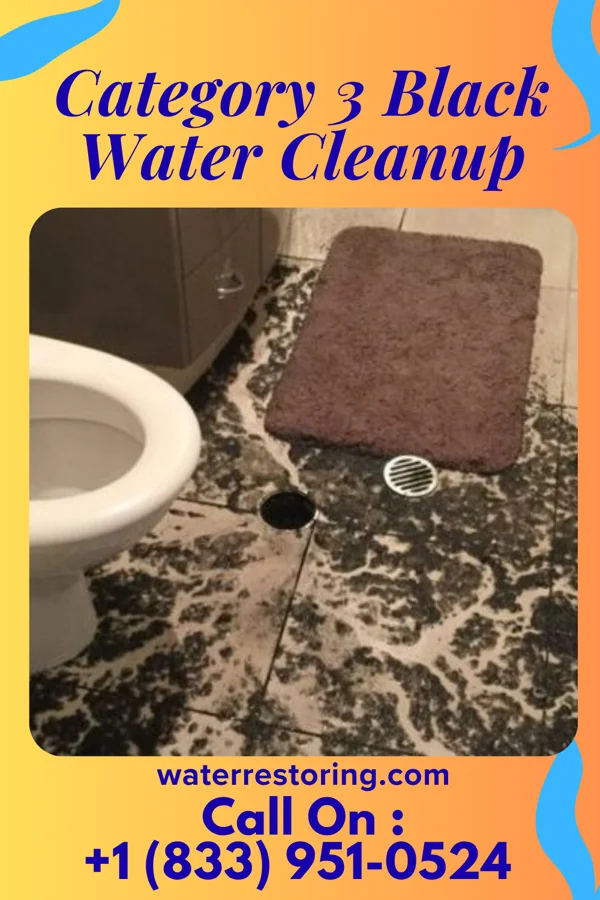 Category 3 Black Water Cleanup in Village Green-Green Ridge, PA