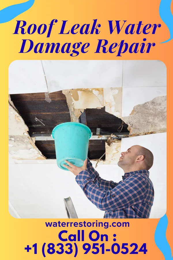 Roof Leak Water Damage Repair in Village Green-Green Ridge, PA